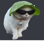 Heckers Union