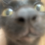 Liri4ns