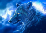 Wolves only!