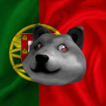Doge United #1st