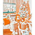 ~ Christmas Closet ~