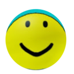 BloxyNoob Fan Group