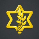 IDF | Israeli Infantry