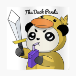 Ducky-Panda Studio
