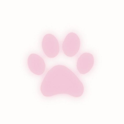 🎀 💤 ꒱ (｡•ω•｡)💢 ✩🍖
