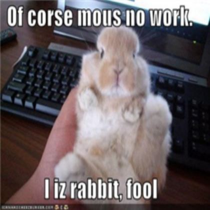 Troll Bunny Roblox decal