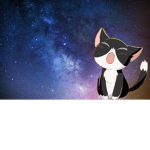 Kittens in space Army