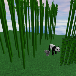 We love Pandas