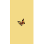Butterflxes
