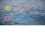 Sharkz Studio's