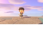 Animal Crossing New Horizons club