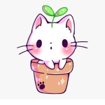 КITTY