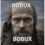 Bobux akademia