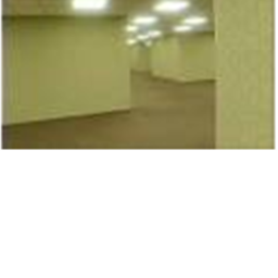 backrooms lvl 1