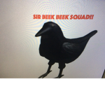 Sir Beek Beek SQUAD!