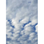 스노우snowTV 팬클럽