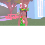 The Roblox Bunnyz
