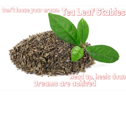 | Tea Leaf Stables |
