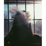 {•Sky is the limit•}