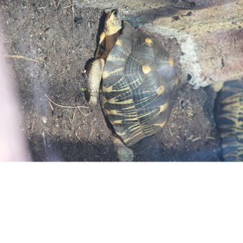 police and firefighter training