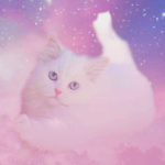 Galaxy Kitties!