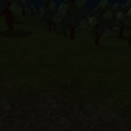 forest
