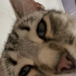 T0ES