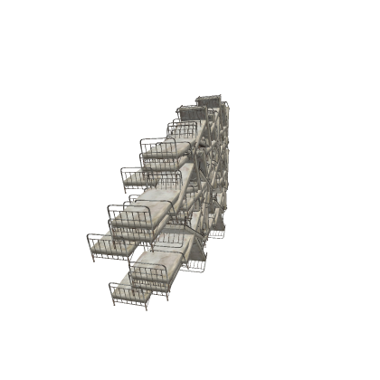 Backroos Level ! beds