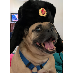 The City of Bruno Soviet Border