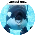 « big donation 100 »