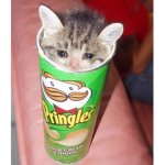 snaccing time
