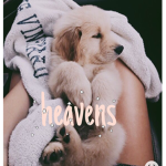 ~heavens~