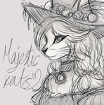 Majestic kats