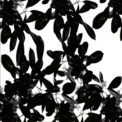 Black plants white background. Roblox decal