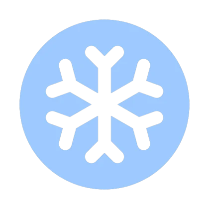 Snowflake NoFilter