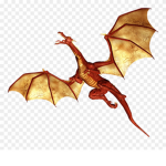 Dragon 123