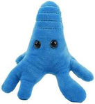 church of amoeba