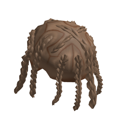 Chrome Braids Roblox item