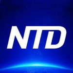NTD CLAN