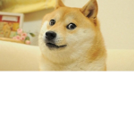 The Amazing Awesome DOGES:)