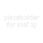 MSF// MOBILE STRIKE FORCES