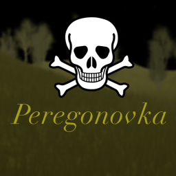 Peregonovka, 1919