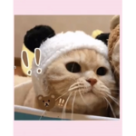 prettykitt1es