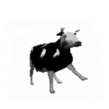 Cow dancing