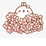 Sakura Group13