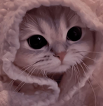 KITTIEKAZE