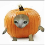 Princess_rat