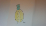 pinaple mesel