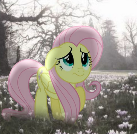 fluttershy's ending.. screenshot 1