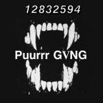 PUURRR GVNG